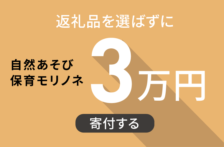 返礼品を選ばずに【自然あそび保育モリノネ】に3万円寄附する